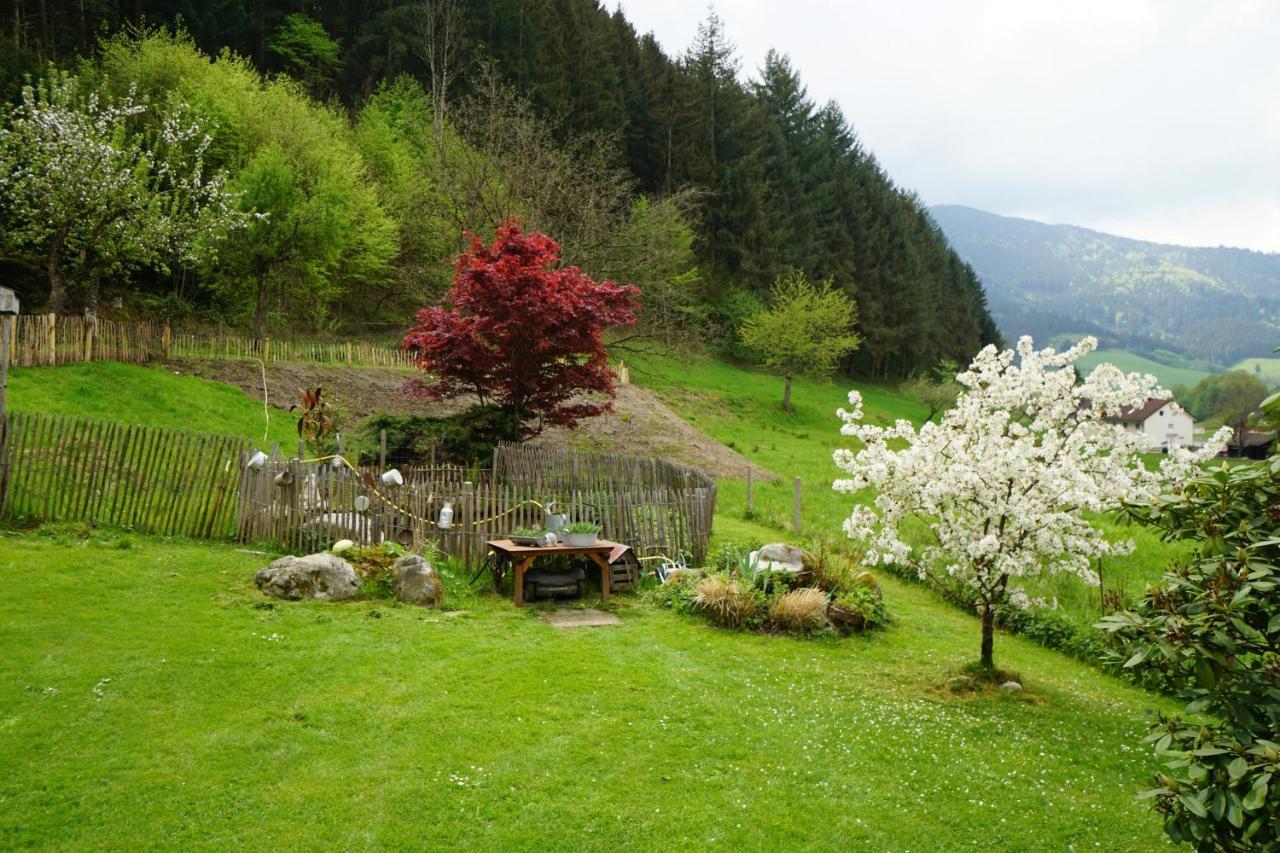 Hoellkopf - Stubenhof, Black Forest シモンスヴァルト エクステリア 写真