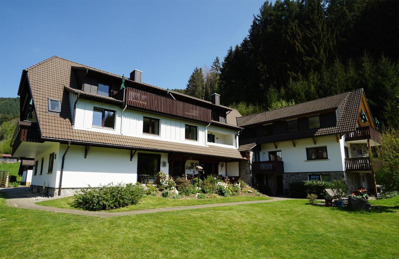 Hoellkopf - Stubenhof, Black Forest シモンスヴァルト エクステリア 写真